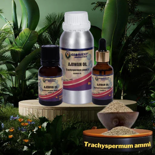 Ajowain Oil (Trachyspermum ammi)