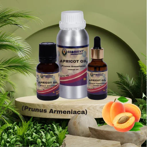 Apricot Oil (Prunus Armeniaca)