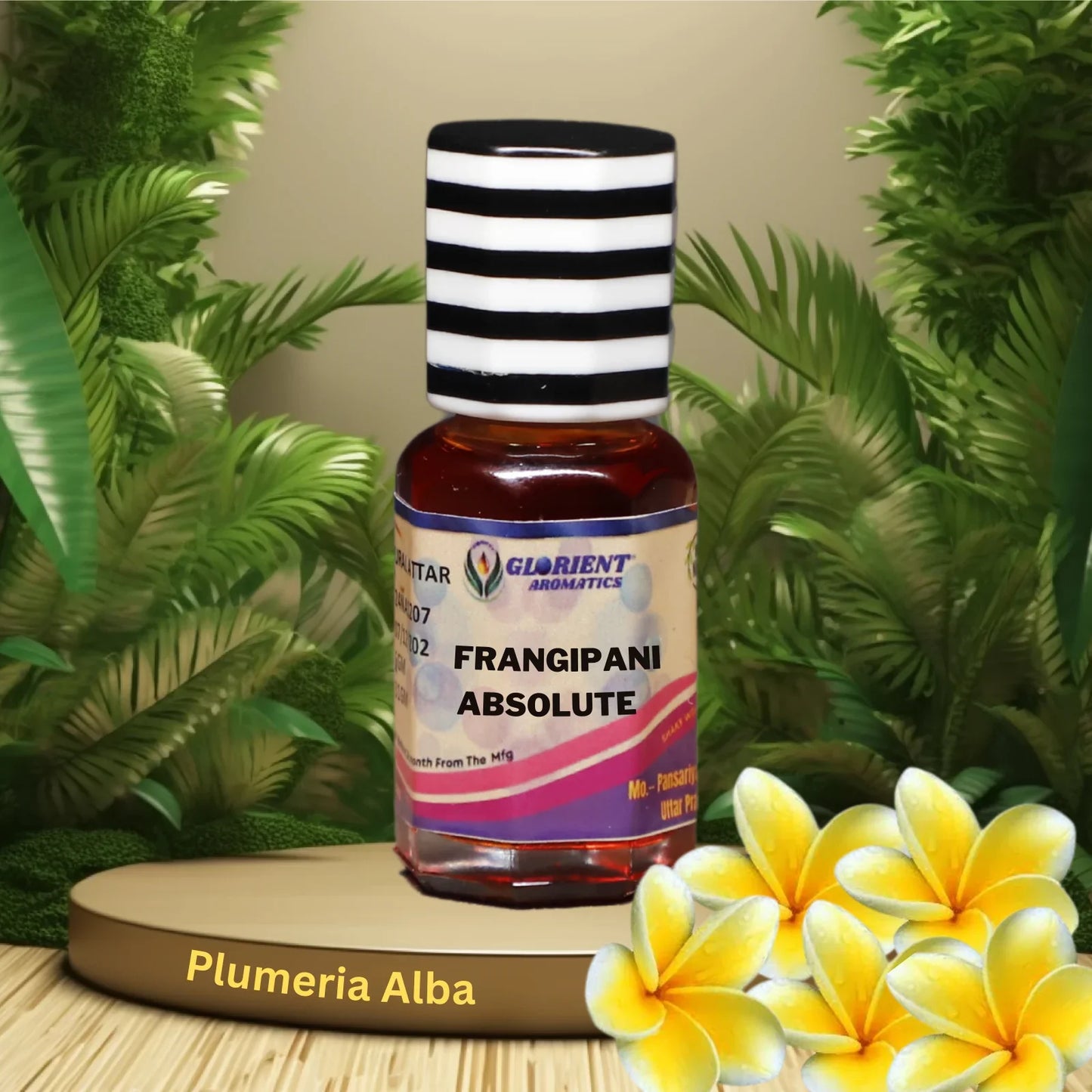 Frangipani Absolute (Plumeria Alba)