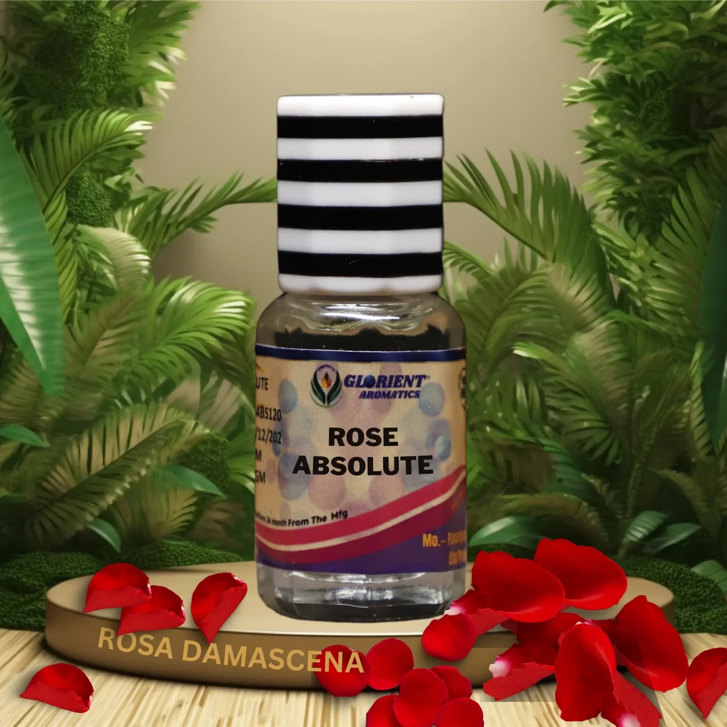 Rose Absolute