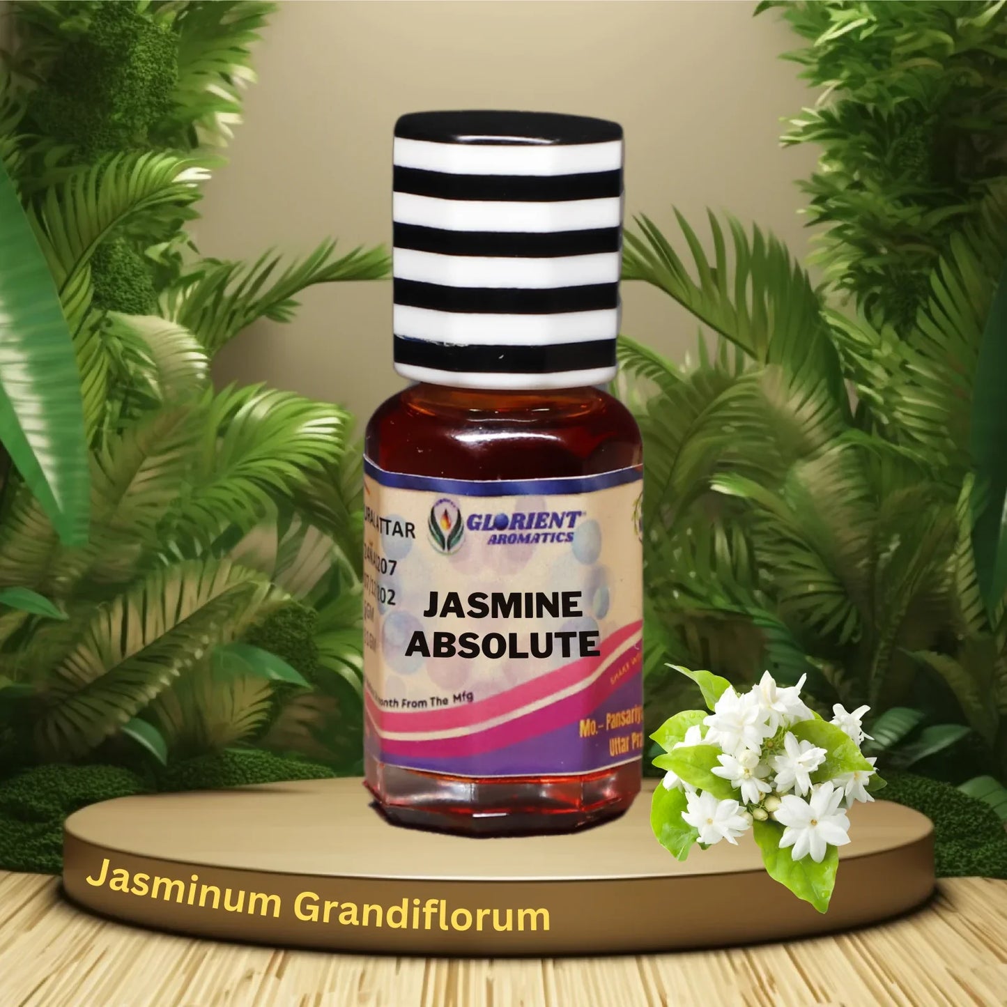 Jasmine Grandifloram Absolute